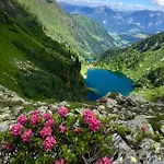 Appartements Wieseneck - Ramsau Am Dachstein - Inklusive Sommercard! Apartment *