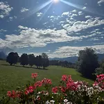 Appartements Wieseneck - Ramsau Am Dachstein - Inklusive Sommercard! Apartment *