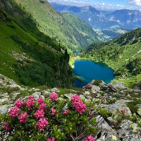Wieseneck - Mit Bergblick - Inklusive Schladming Dachstein Card! 公寓 *