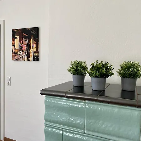 Apartman Wieseneck - Freistehende Lage Inklusive Sommercard ! Ramsau am Dachstein