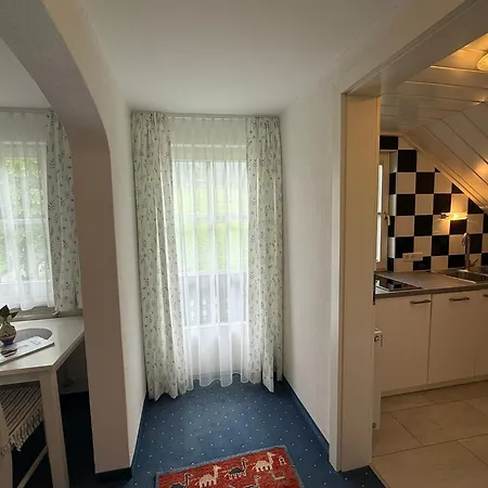 Daire Wieseneck - - Direkt An Der Loipe! Ramsau am Dachstein