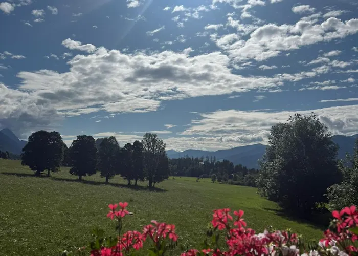 Wieseneck - - Direkt An Der Loipe! Apartman *