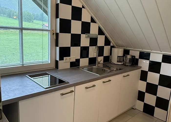 아파트먼트 비젠엑 아파트 람자우 암 다흐스타인