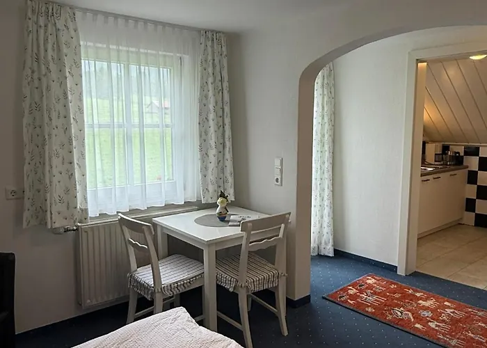 Apartman Wieseneck - - Direkt An Der Loipe! *