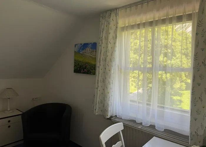 Wieseneck - - Direkt An Der Loipe! Apartman *